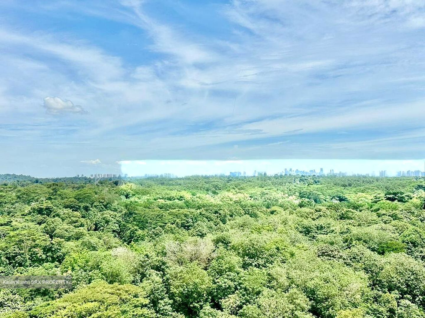 Tree House (D23), Condominium #508915491